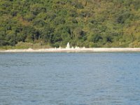 2019-09-22-092937 MJSR