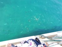 2019-09-26-114423 MJSR