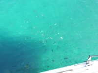 2019-09-26-114602 MJSR