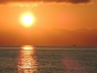 2019-09-27-060949 MJSR