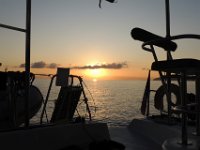 2019-09-27-061709 MJSR