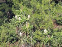 2019-09-27-103952 MJSR